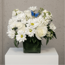 White flowers arranged in a square glass vase with a blue butterfly accent.