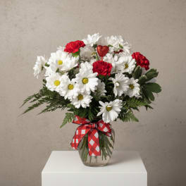 Bouquet of white daisies and red carnations in a glass vase with a red plaid ribbon
