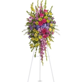 Bright and Beautiful Spray by Teleflora