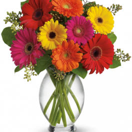 Bright gerbera daisy bouquet in a clear glass vase