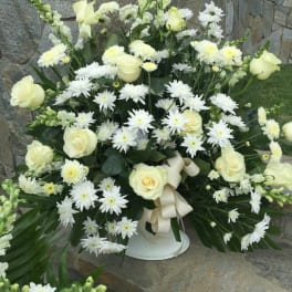White roses and daisy-like flowers in a white vase with a cream ribbon