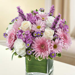 Luscious Lavender