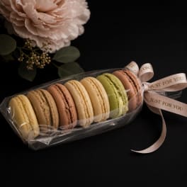 Parisienne Macaron Gift Sleeve