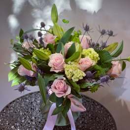 Soft and Lovely Blooms