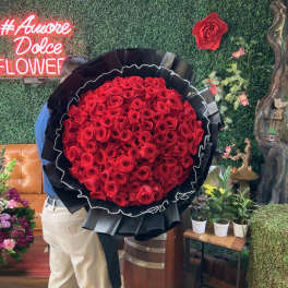 Bloom Baby!