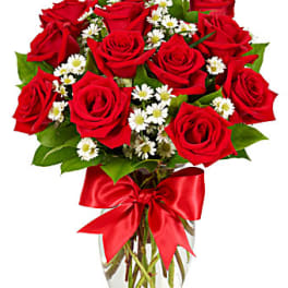 Premium Long Stem Red Roses