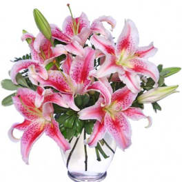 Pink stargazer lilies in a clear glass vase