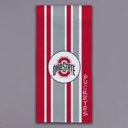 Ohio State Buckeyes striped gift bag with logo
