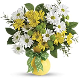 Yellow and white daisy bouquet in a yellow vase with a green polka-dot ribbon