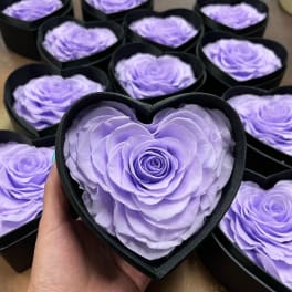 Lavender roses arranged in black heart-shaped boxes