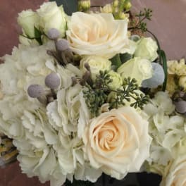 Cream roses and white hydrangeas in a bouquet with small lavender accents