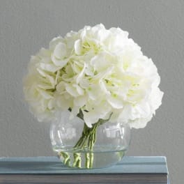White hydrangea bouquet in a clear glass vase