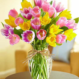 Bouquet of pink and yellow tulips in a clear glass vase
