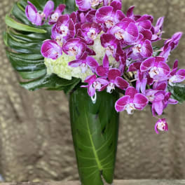 Purple orchids arranged in a tall green vase