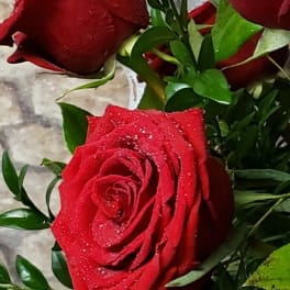 Rosey Red Choice