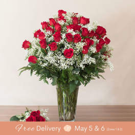 Abundant Love (The HAMMAH! with 4 Dozen Long Stem Roses)