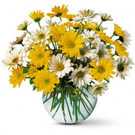 Bouquet of yellow and white daisies in a round glass vase