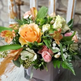 Peaches and Cream