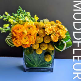 Little Miss Sunshine is a burst of bold, joyful, happy, color. When you want to make people smile, send some sunshine!