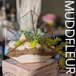 Succulicious Modern Terrarium