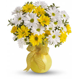 Teleflora's Upsy Daisy