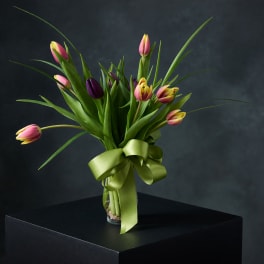 Dozen Tulips (Assorted Colors)