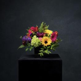 Designer’s Choice Bold and Bright (vase vary)