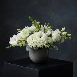 Grace and Ivory