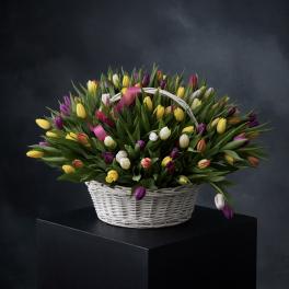 Tulip Overflow™ – Luxury Spring Statement Basket