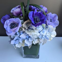 Purple anemones and pale blue hydrangeas in a clear square vase