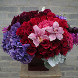 Sultry Red, Purple and Pinks