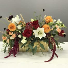 Giving Thanks