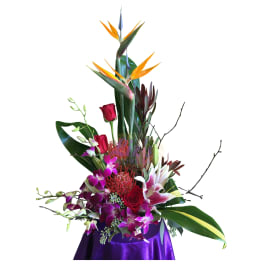 Tall tropical bouquet with orchids, roses, and bird of paradise flowers