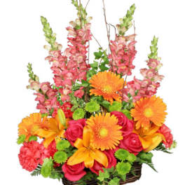 Brilliant Basket Arrangement