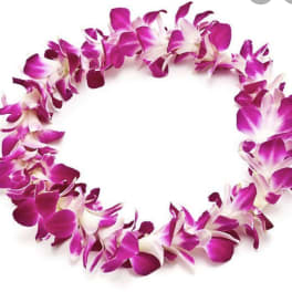 Double Purple Orchid Lei