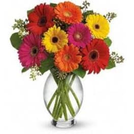 Colorful gerbera daisy bouquet in a clear glass vase