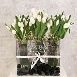 Tulip arrangement
