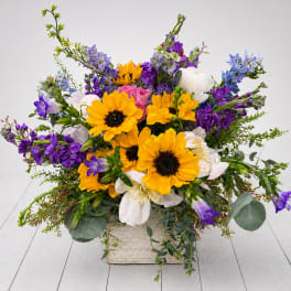 Bright mixed bouquet with yellow sunflowers, purple blooms, and white flowers in a square container