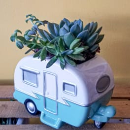Succulent arrangement in a camper-shaped ceramic planter