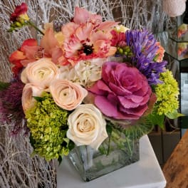 Designer's Choice Premium Luxe Mixed in a Large Cube