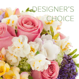 Designer's Choice