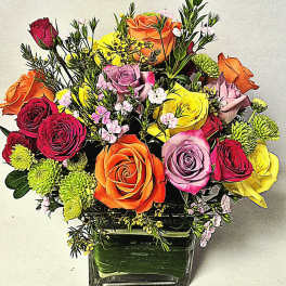 Rainbows and Roses