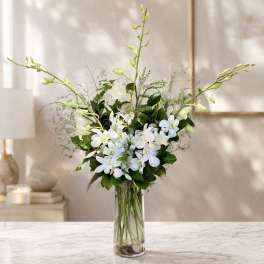White Dendrobium Orchid Elegance