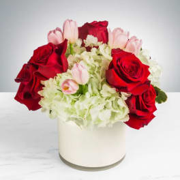 Red roses and pale pink tulips in a white vase
