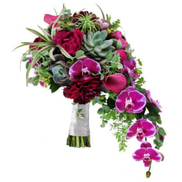 Cascade bouquet with magenta orchids, succulents, and dark red blooms