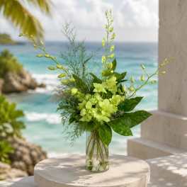 Green orchid arrangement in a clear glass vase