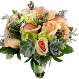 Peach roses and calla lilies with succulents in a hand-tied bouquet