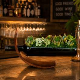 Wine Bottle Succulent Garden