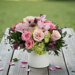 Whispering Petals