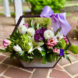 Modern Blooms